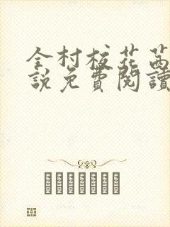 全村校花茜茜小说免费阅读封面