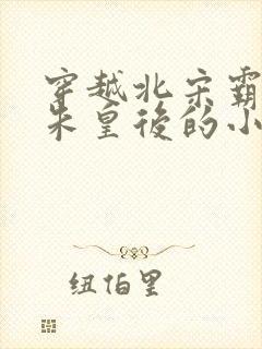 穿越北宋霸占了朱皇后的小说