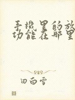 手机里的放大镜功能在哪里