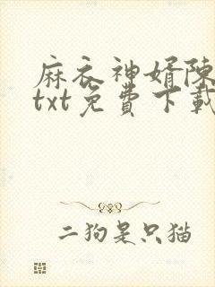 麻衣神婿陈黄皮txt免费下载