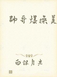 帅哥爆操美女.封面