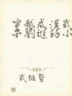 穿越成汉武帝孙子刘进的小说封面