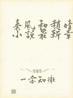 秦风和赵晴晴的小说最新章节