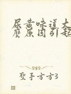 尿黄味道大是什么原因引起的