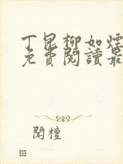 丁昆柳如烟小说免费阅读最新章节