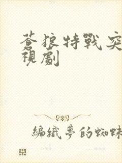 苍狼特战突击电视剧