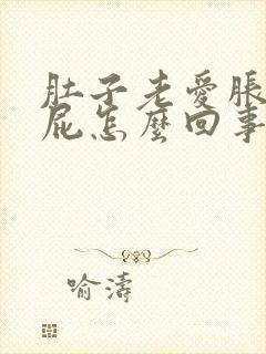 肚子老爱胀气放屁怎么回事