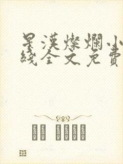 星汉灿烂小说在线全文免费阅读