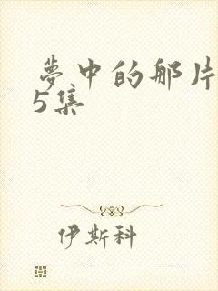 梦中的那片海15集封面