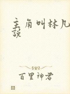 主角叫林凡的小说