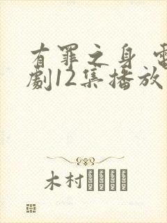 有罪之身 电视剧12集播放