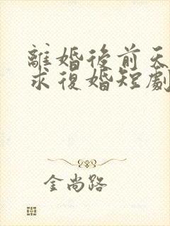 离婚后前天哭着求复婚短剧