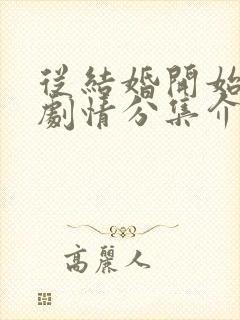 从结婚开始恋爱剧情分集介绍