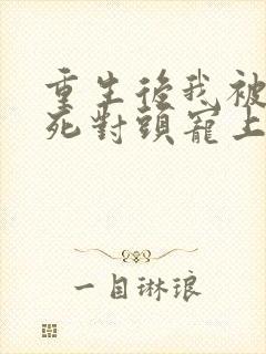 重生后我被渣男死对头宠上天短剧完结