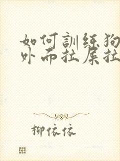 如何训练狗狗在外面拉屎拉尿