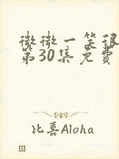 微微一笑很倾城第30集免费观看完整版