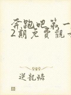 奔跑吧第一季12期免费观看