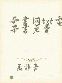 奇书网txt电子书免费封面