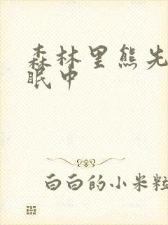 森林里熊先生冬眠中封面