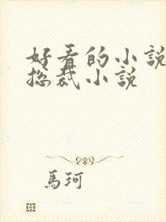 好看的小说推荐总裁小说