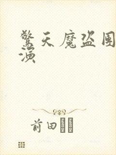 惊天魔盗团3导演封面