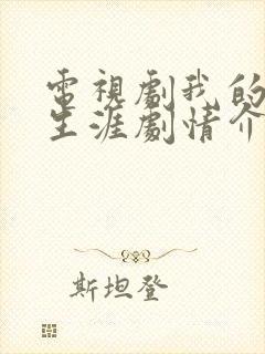 电视剧我的绝密生涯剧情介绍封面