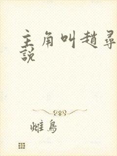 主角叫赵寻的小说