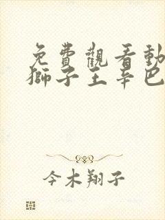 免费观看动画片狮子王辛巴正版