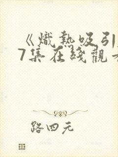 《炽热吸引》17集在线观看