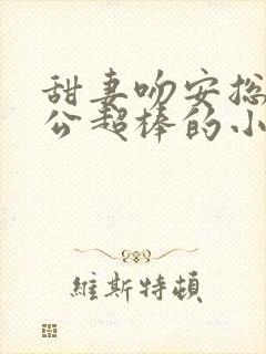 甜妻吻安总裁老公超棒的小说封面