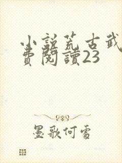 小说荒古武神免费阅读23封面