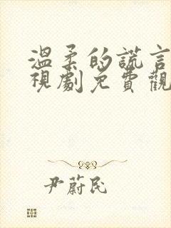 温柔的谎言 电视剧免费观看封面