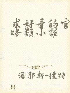 求好看的官场谋略类小说封面