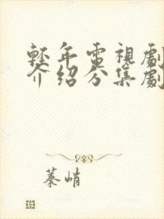 轻年电视剧剧情介绍分集剧情封面