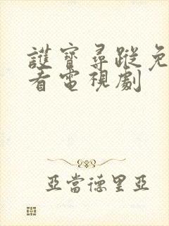 护宝寻踪免费观看电视剧封面