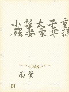 小说太子重生后,强娶豪夺掠我入东宫