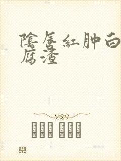 阴唇红肿白带豆腐渣