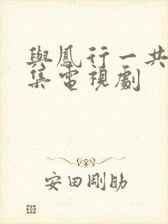 与凤行一共多少集电视剧