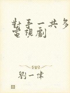 对手一共多少集电视剧