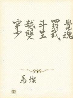 穿越斗罗觉醒最少双生武魂的动漫5小时以上