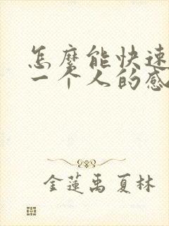 怎么能快速忘掉一个人的感情