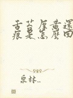 舌苔厚黄还有齿痕是怎么回事