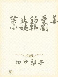 禁止的爱善良的小姨韩剧