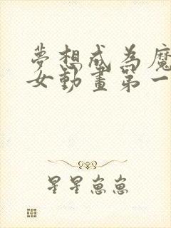 梦想成为魔法少女动画第一季封面