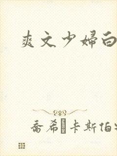 爽文少妇白洁封面
