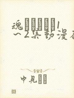 魂インサート1～2集动漫在线播放