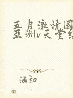 五月激情国产v亚洲v天堂综合