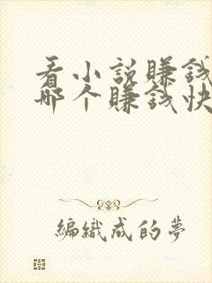 看小说赚钱软件哪个赚钱快