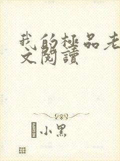 我的极品老婆全文阅读封面