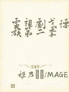 电视剧戈德曼家族第二季